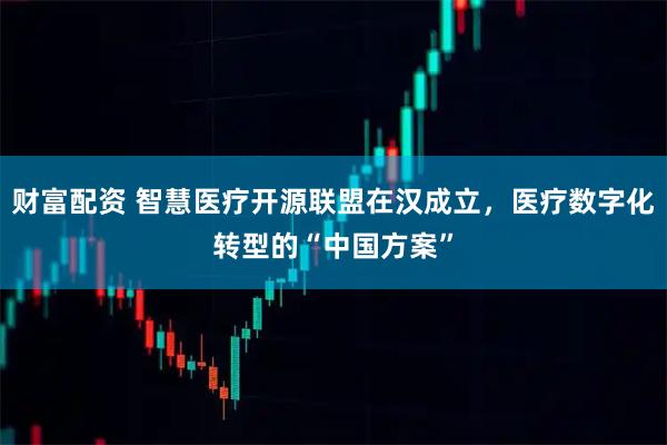 财富配资 智慧医疗开源联盟在汉成立，医疗数字化转型的“中国方案”